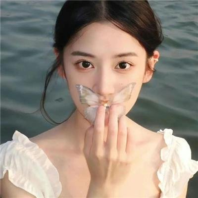 金式森林 海报